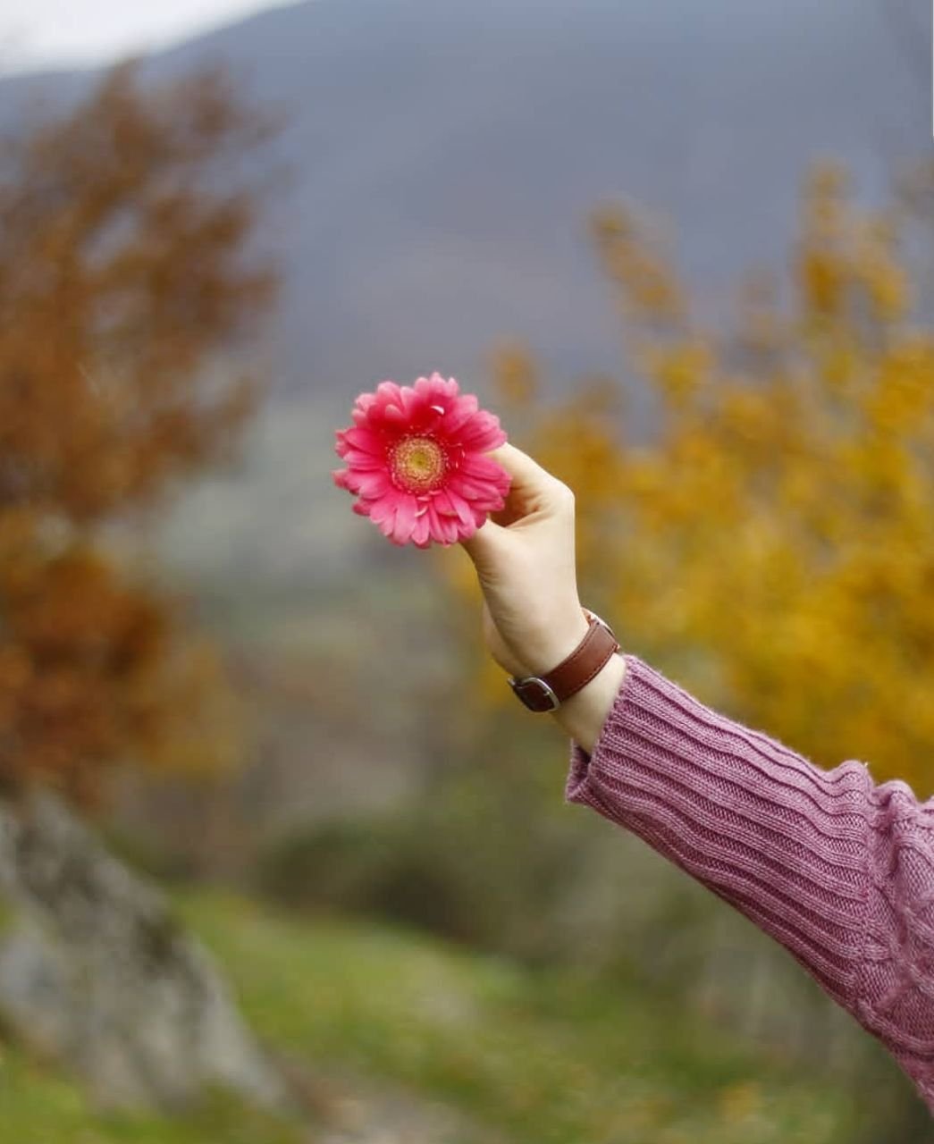 Цветок на руку.