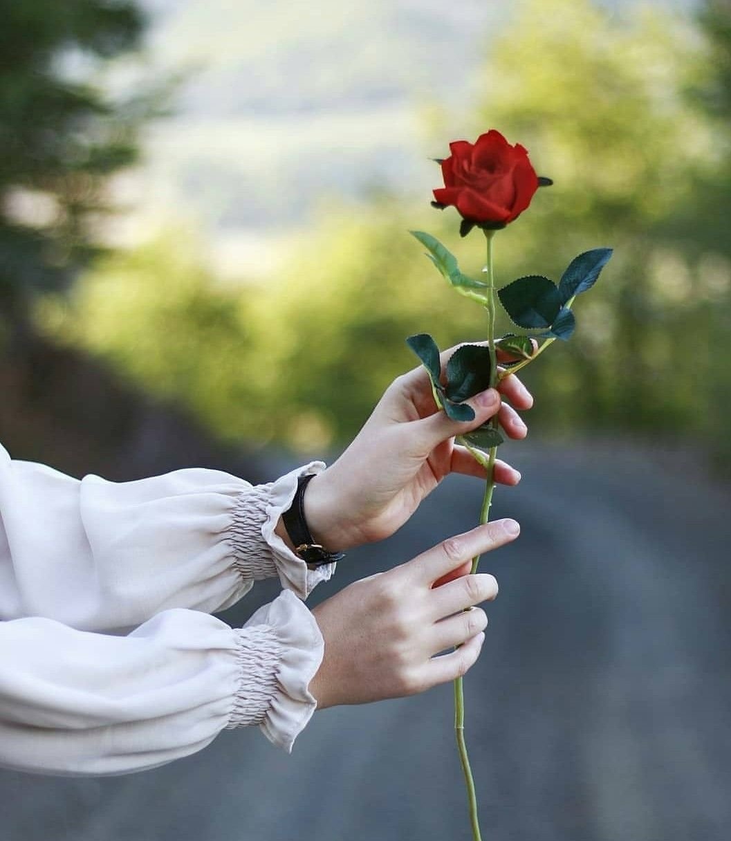 Рука держит цветок