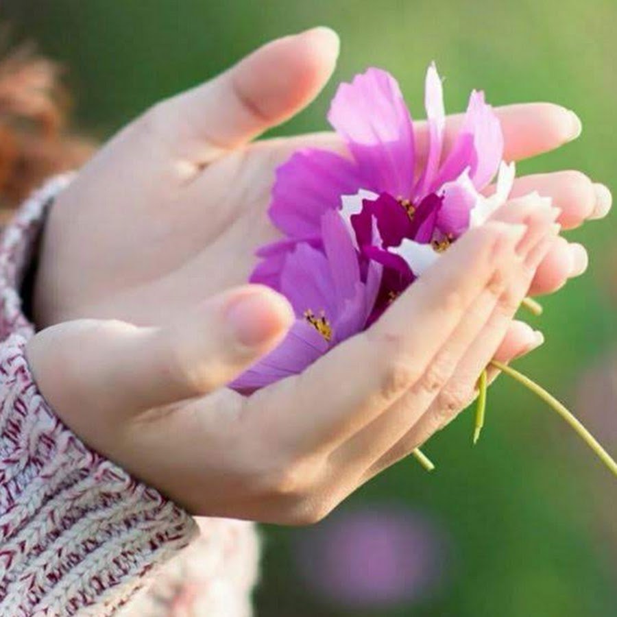 Цветы в ладонях