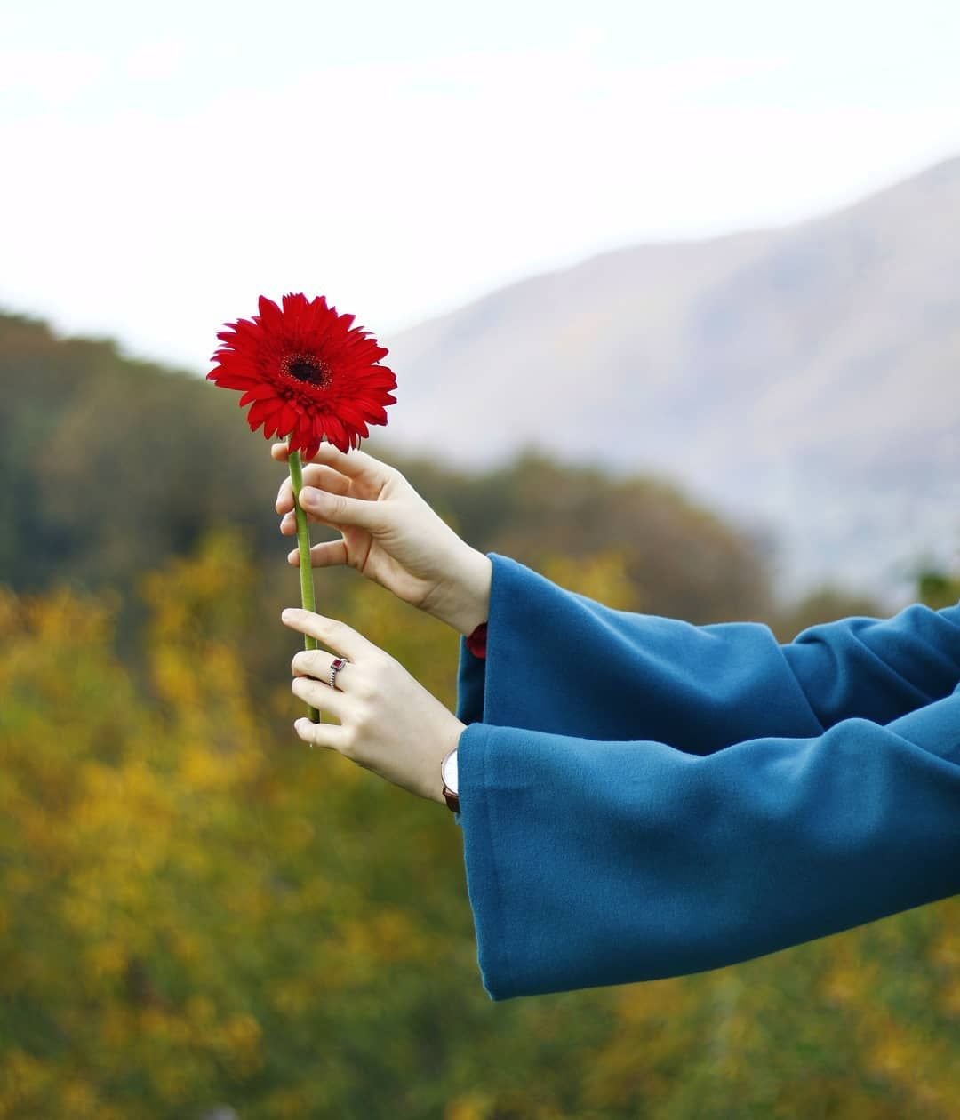 Цветок на руку.