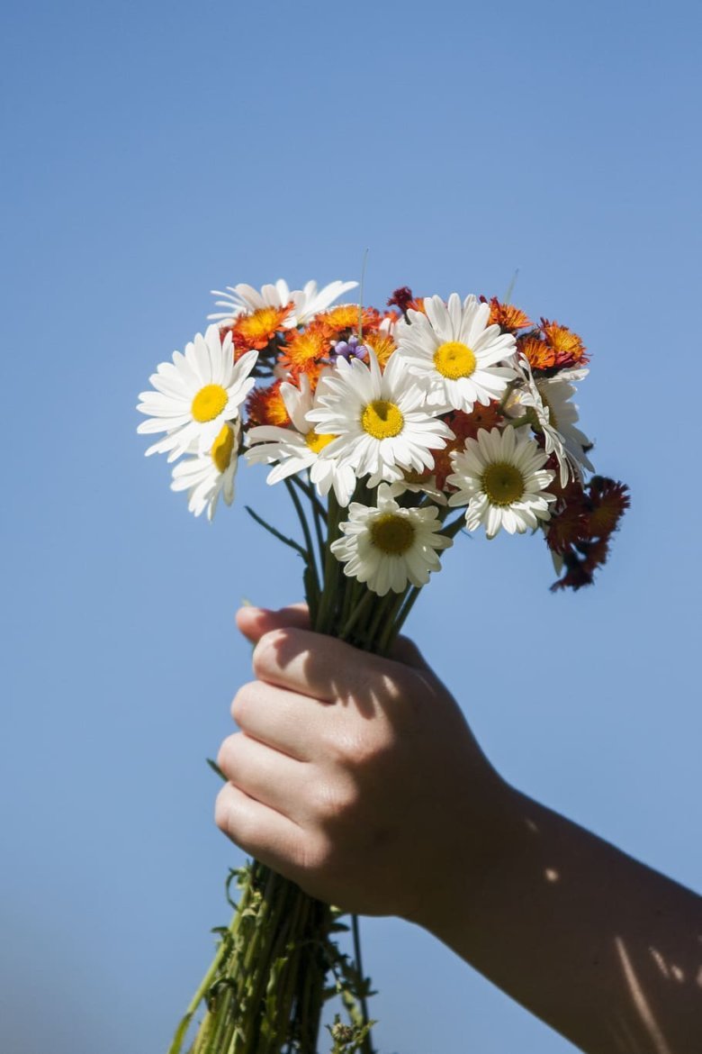 Цветы в ладонях