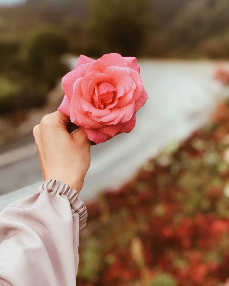 Цветок в руке картинки