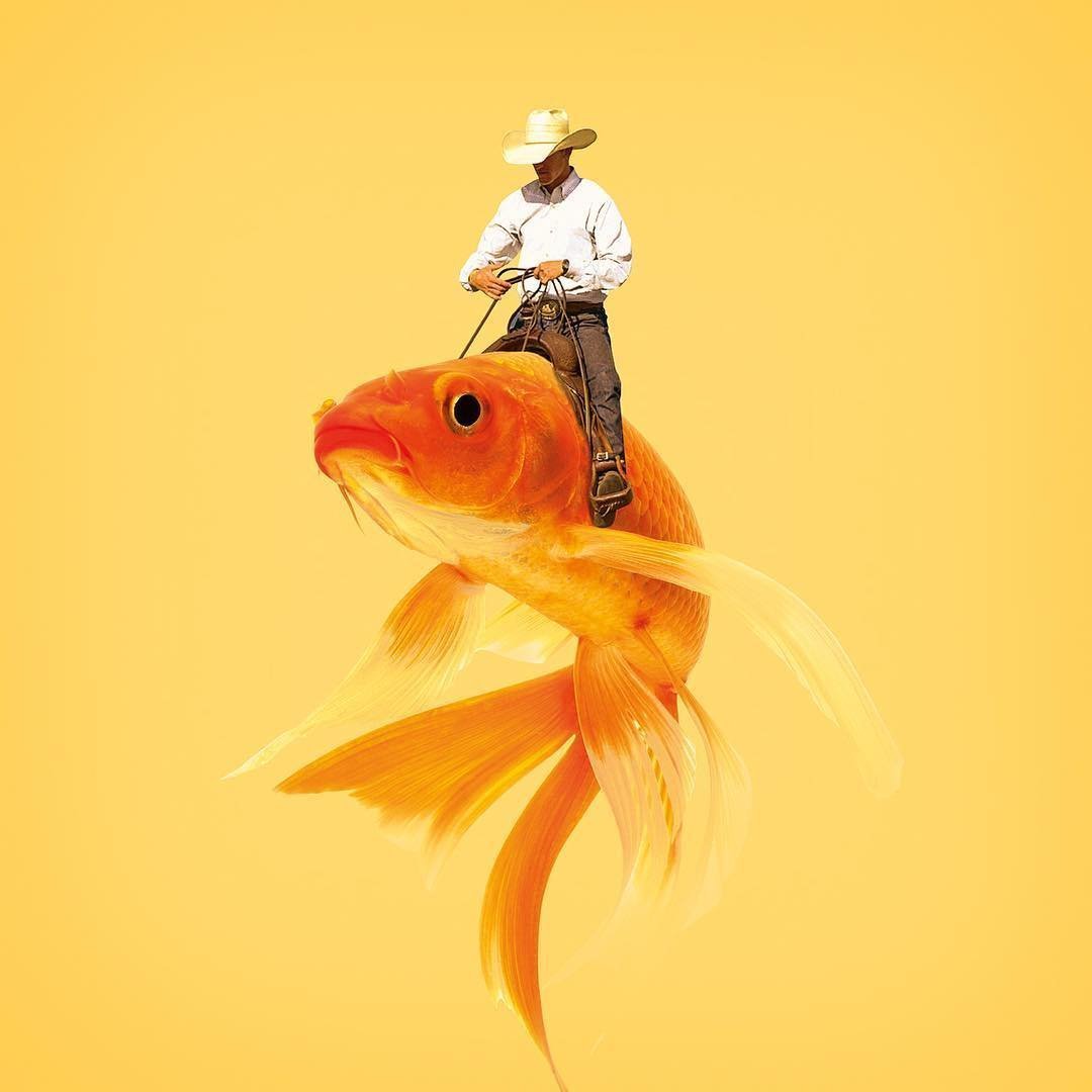 Золотая рыбка открытка