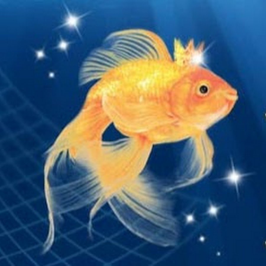 Золотая рыбка в ладони