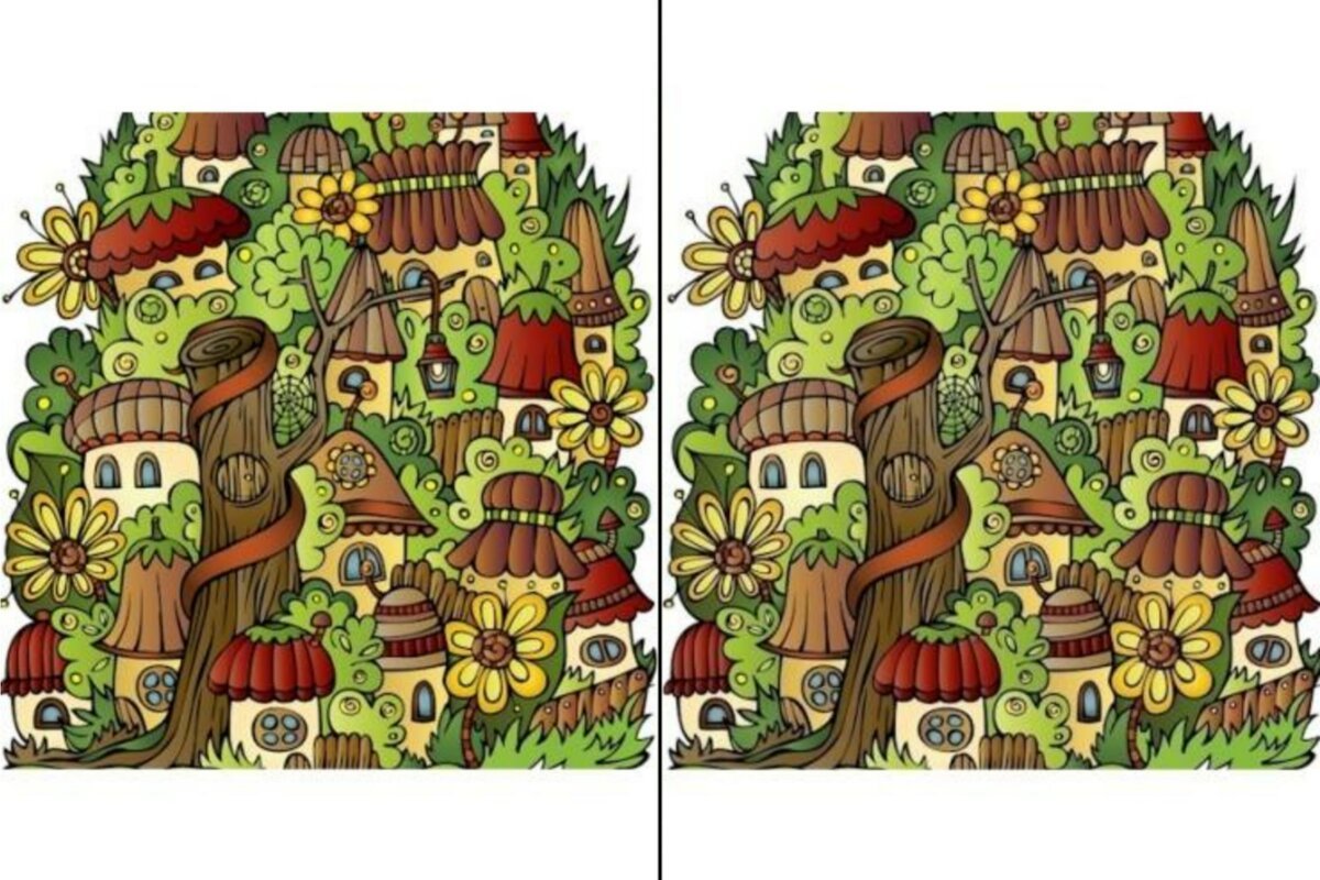 Головоломки Найди отличия