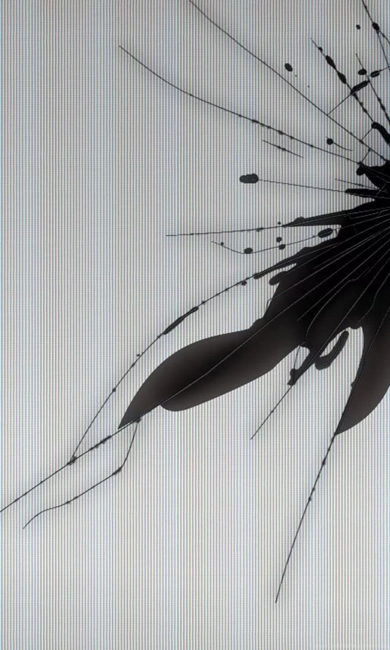 Разбитый монитор