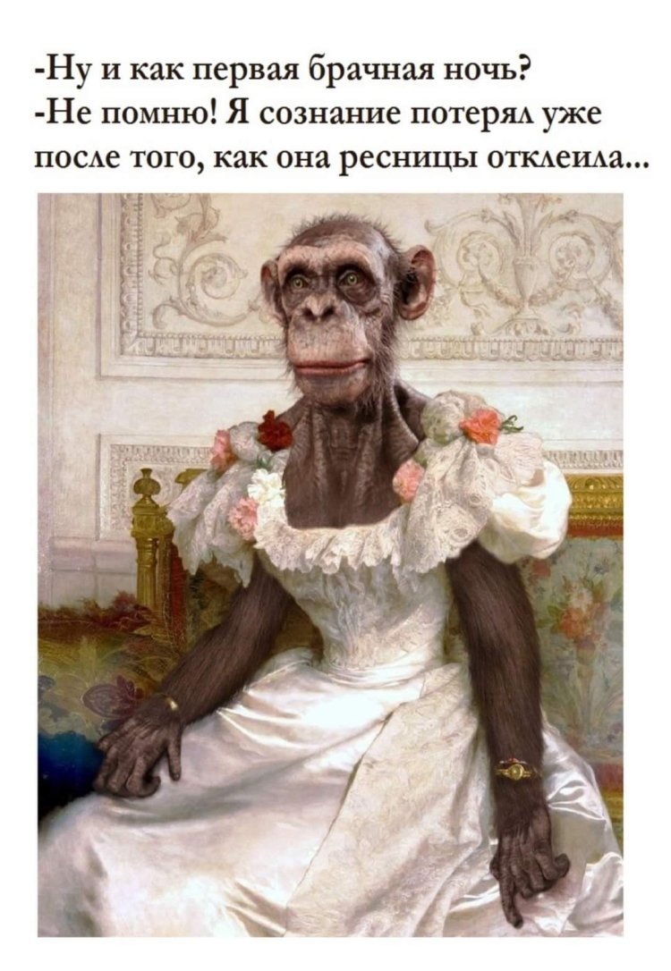 Бонобо яйца