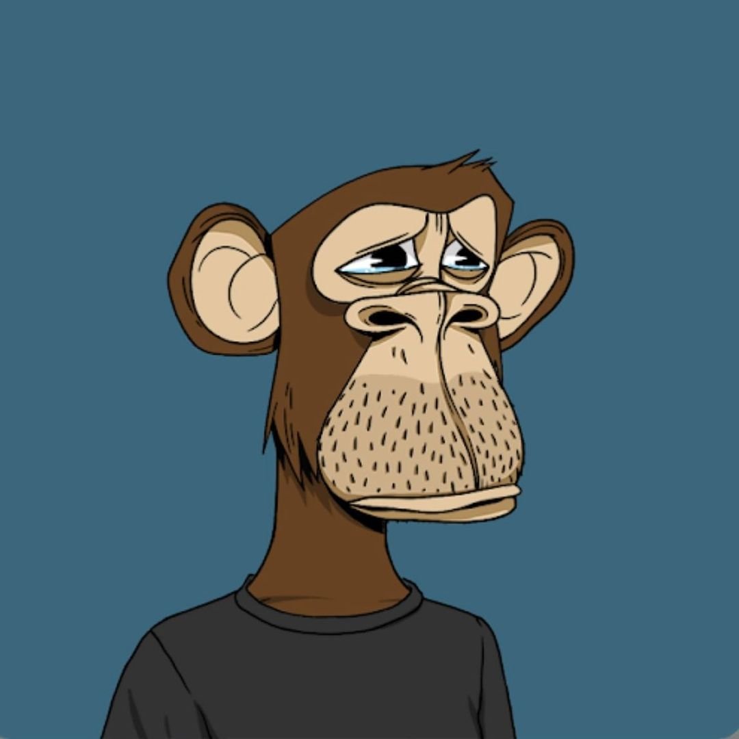 Удивленная шимпанзе