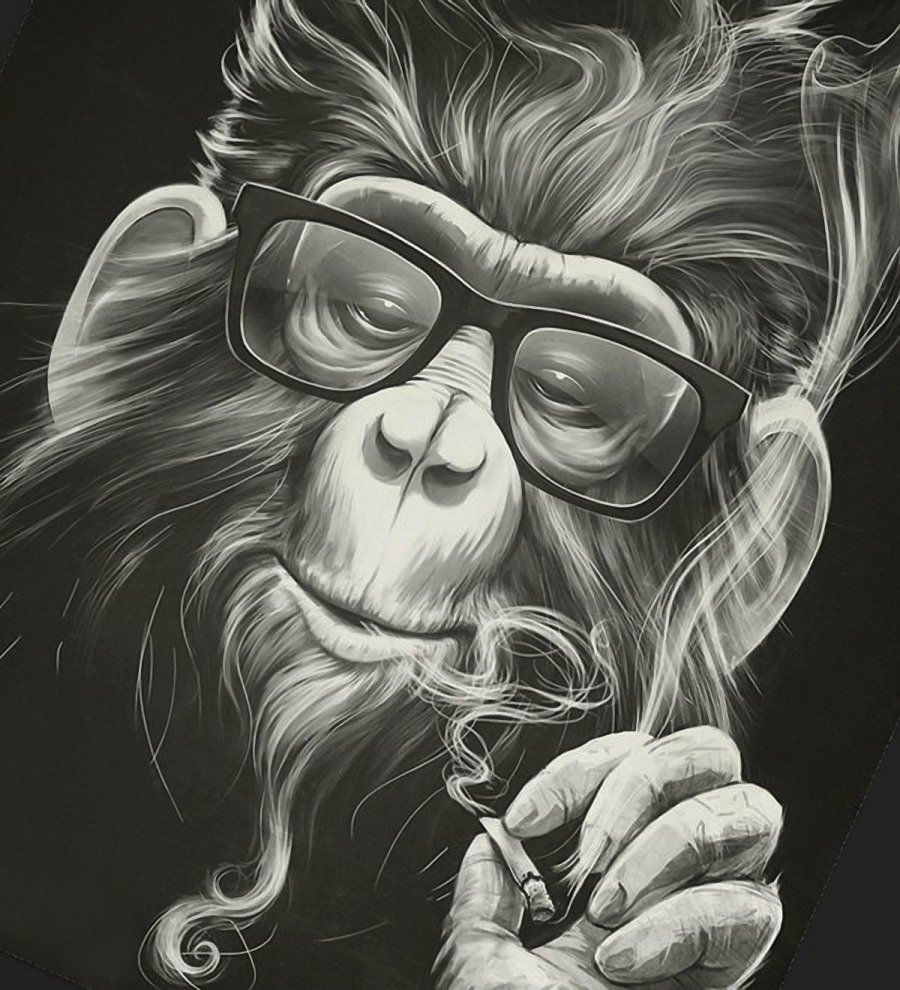 Пабло обезьяна