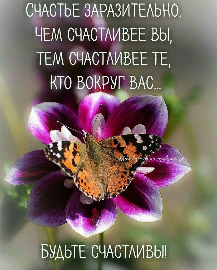 Жизненные пожелания с добрым утром