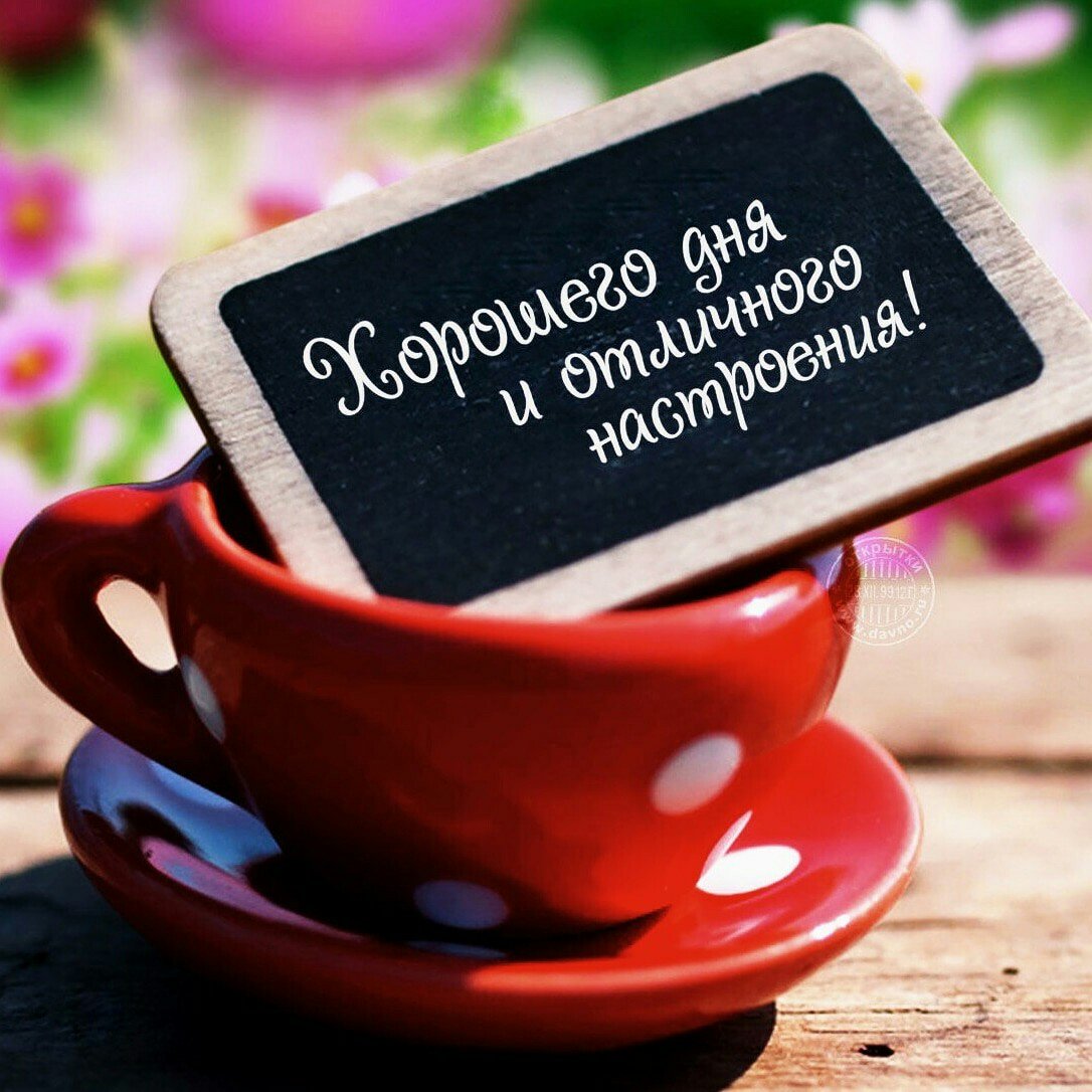 Цитаты с добрым утром со смыслом