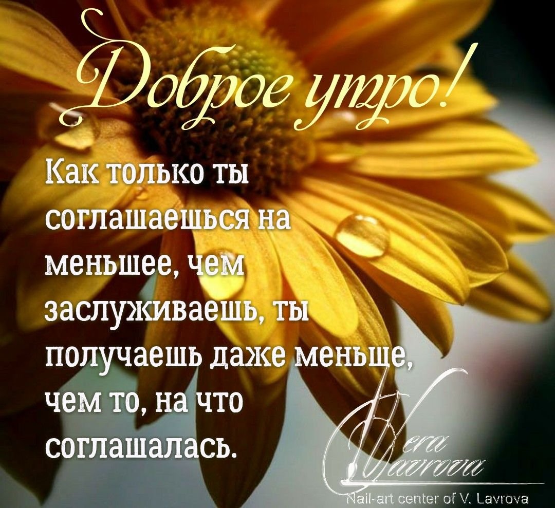 Доброе утро цитаты