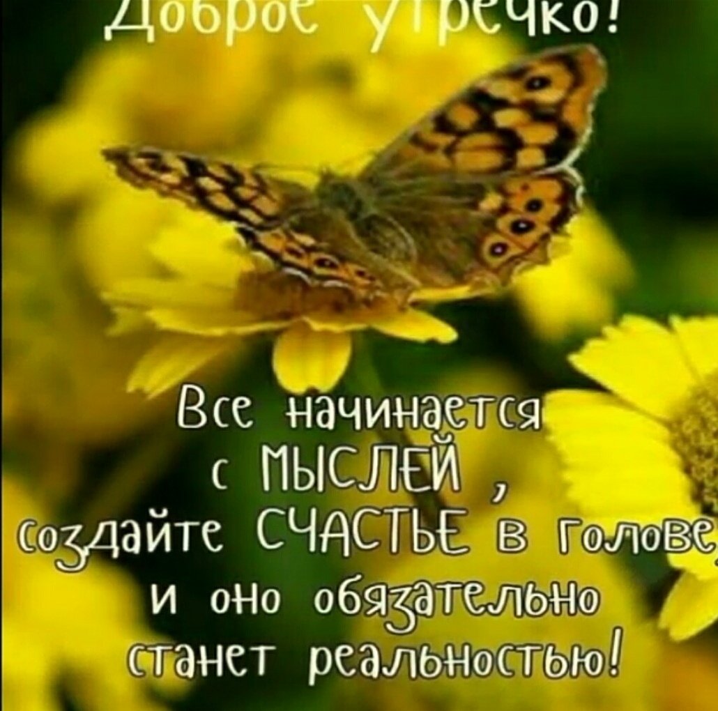 Умные цитаты с добрым утром