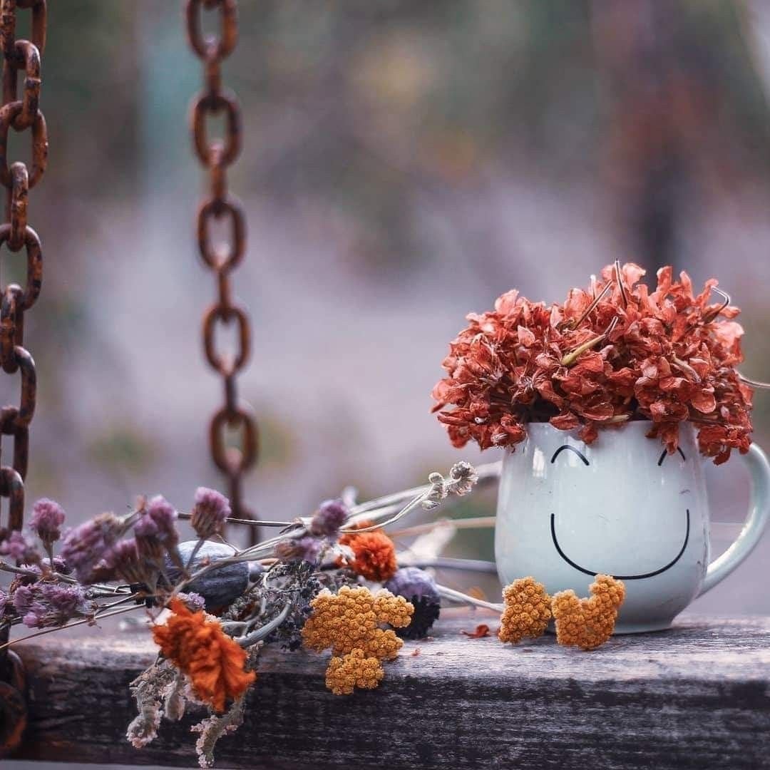 Афоризмы о доброте души