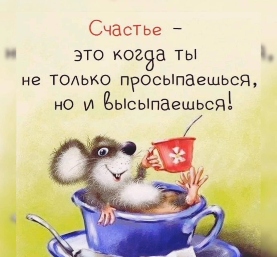 Красивые картинки с юмором