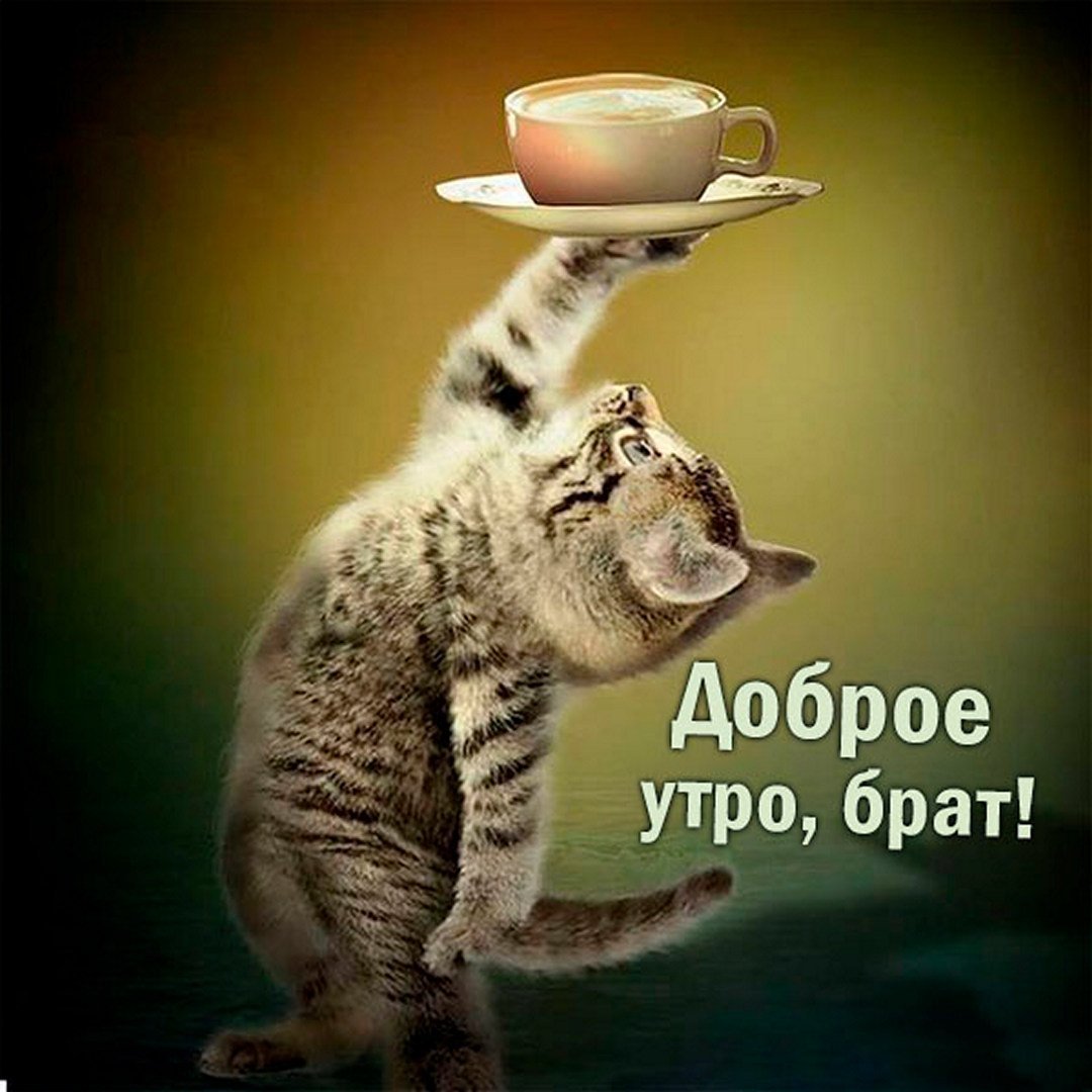 Открытки с добрым утром прикольные