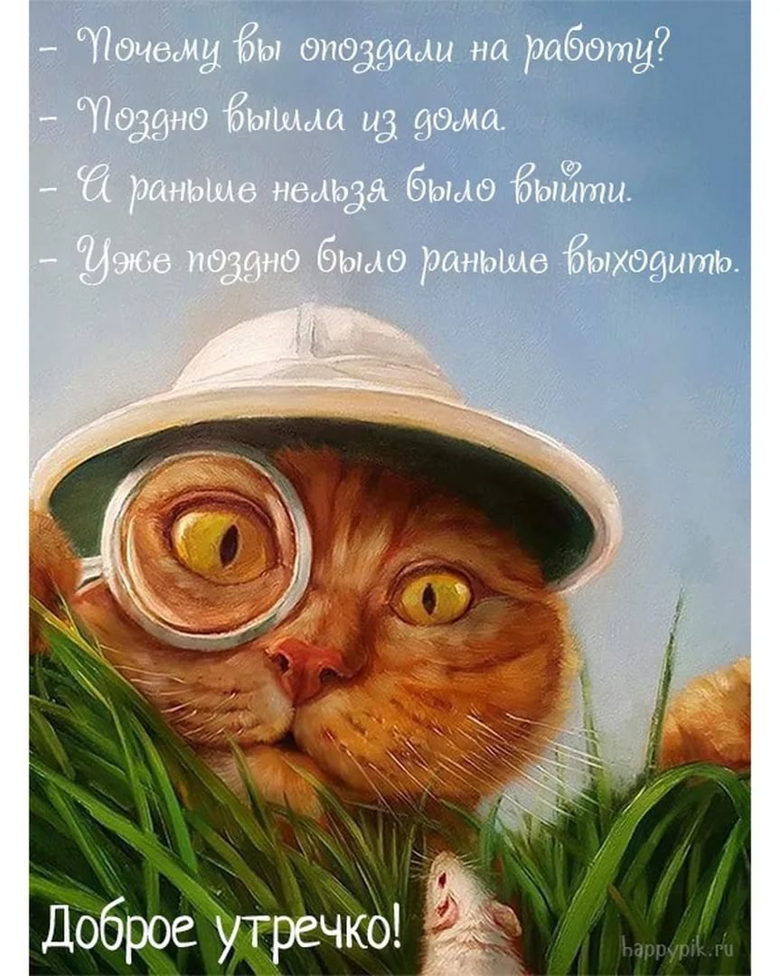 Доброе утро прикол