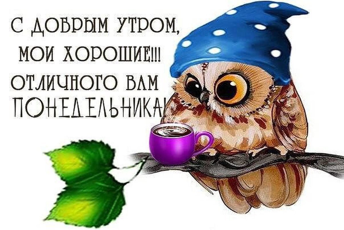 Пожелания с добрым утром прикольные