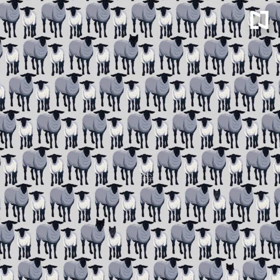 Найди среди