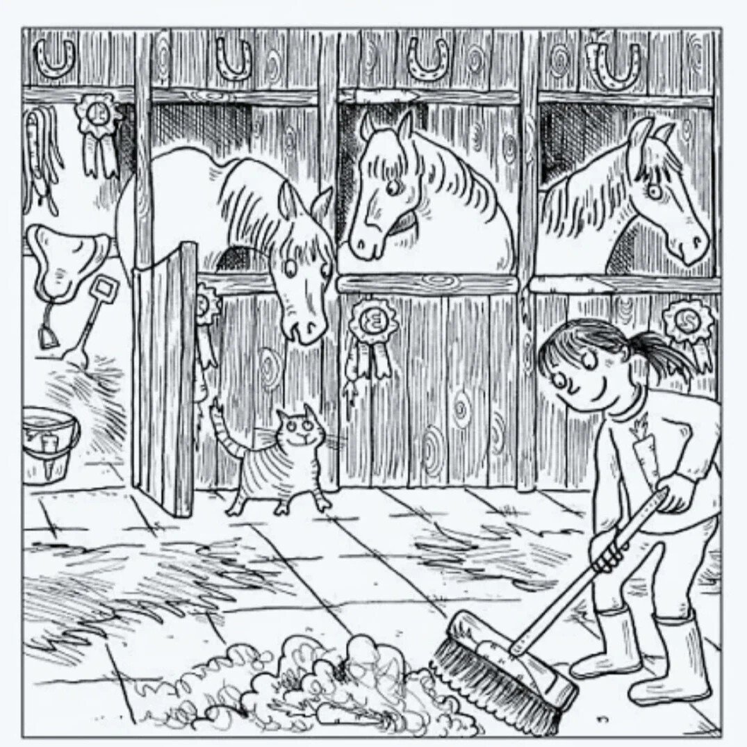 Загадки на внемательнос