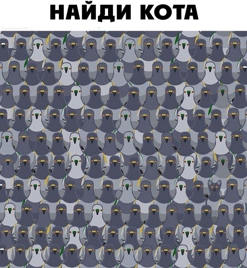 Головоломка Найди кота среди голубей