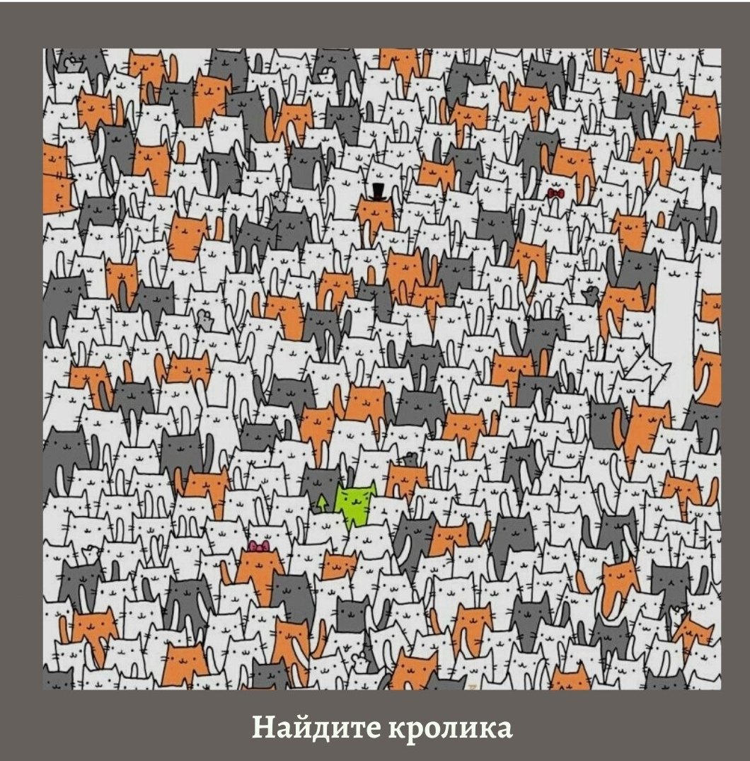 Найди зайца среди котов