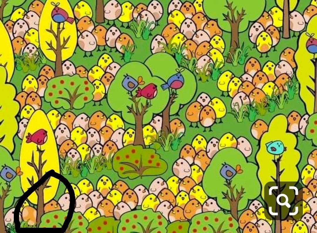 Головоломки Найди на картинке