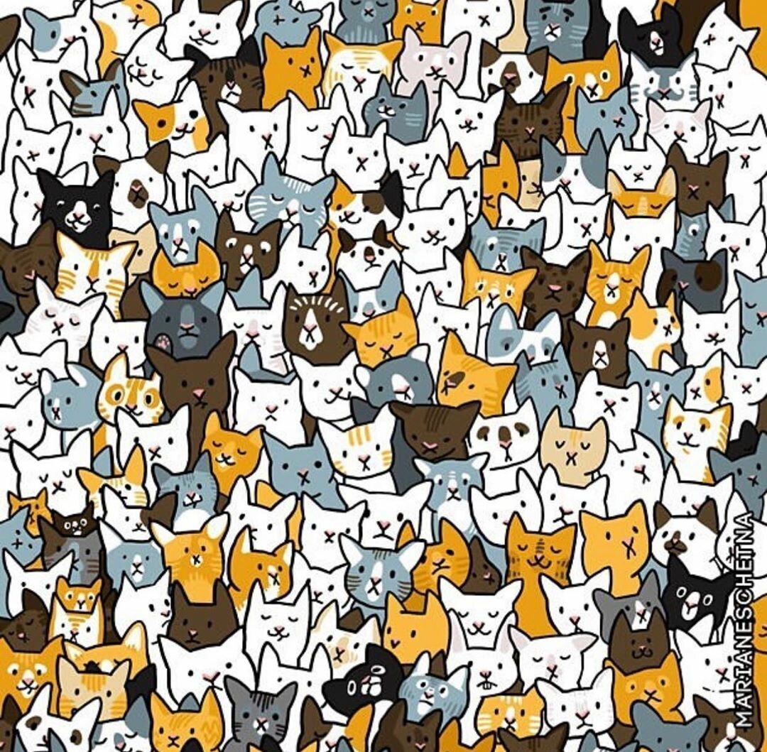 Найди среди котов