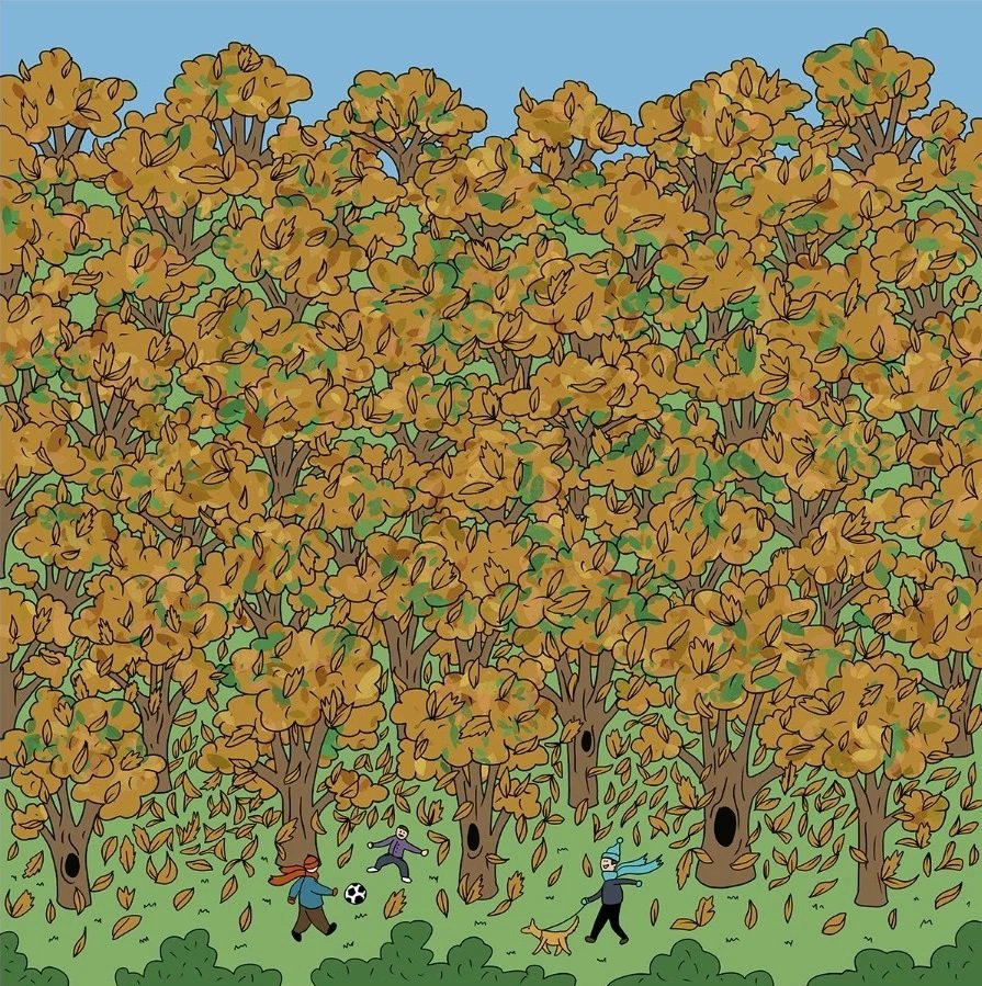 Найти белку на картинке