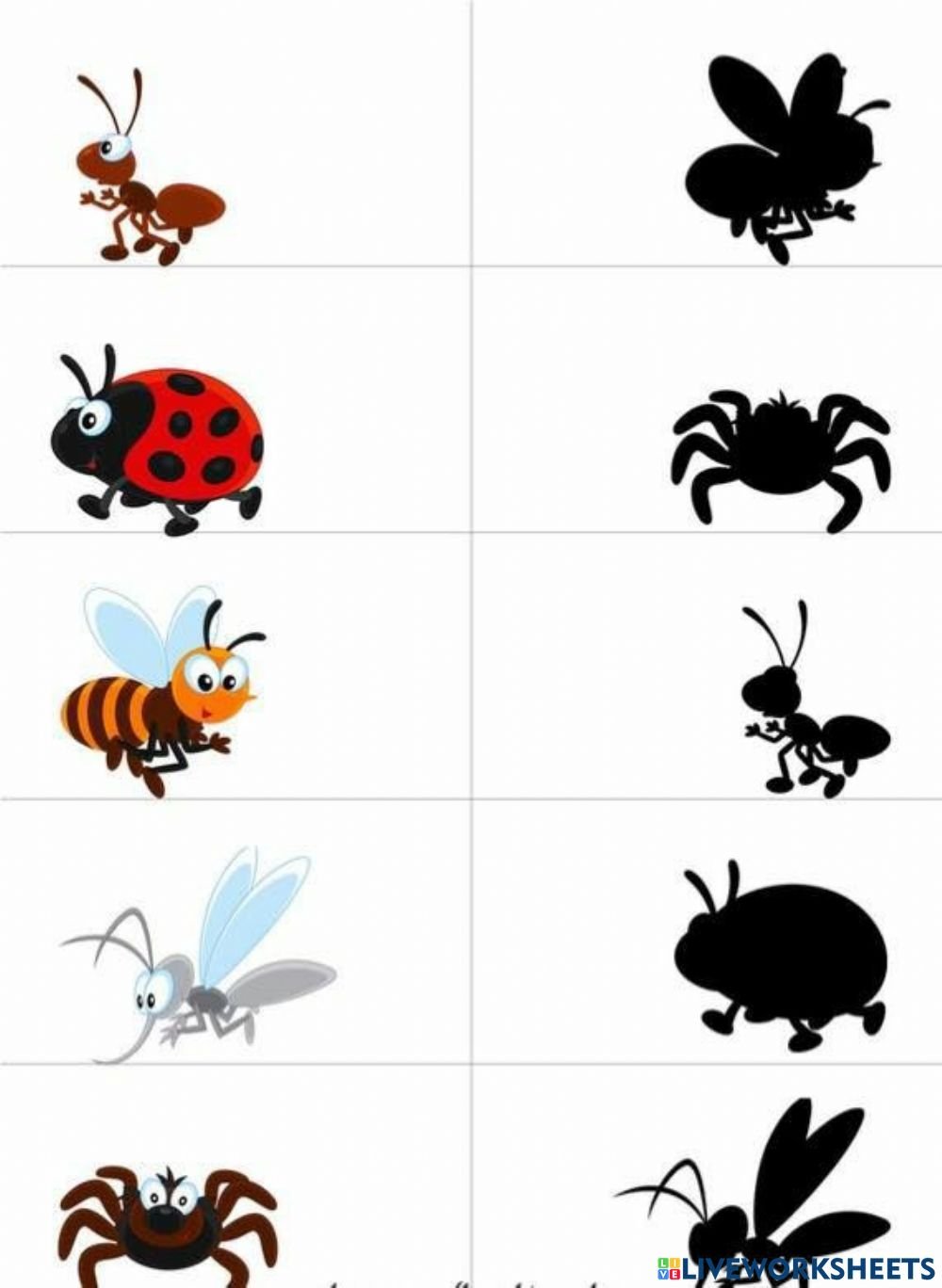 Занятие насекомые в старшей. Игра Найди тень насекомые. Насекомые занятие для дошкольников. Тень насекомые для дошкольников. Насекомые задания для дошкольников.