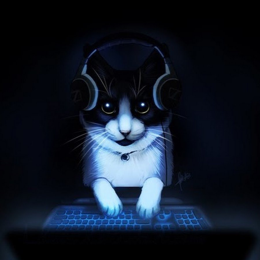 Кот с наушниками