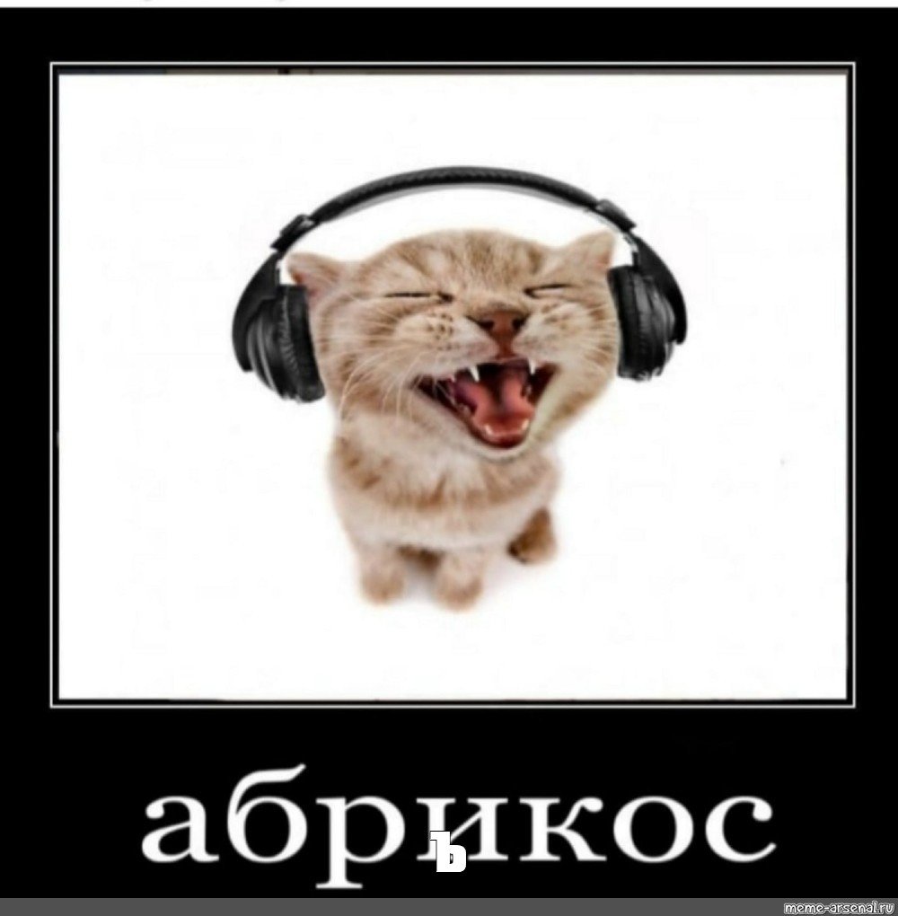 Кот в наушниках картинки