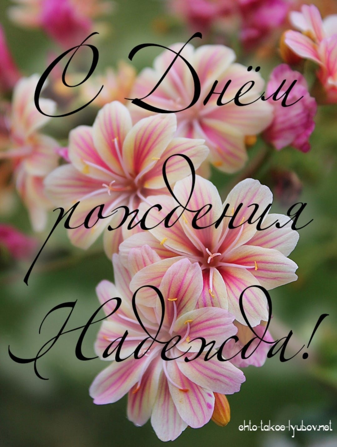 С днём рождениянаднжда