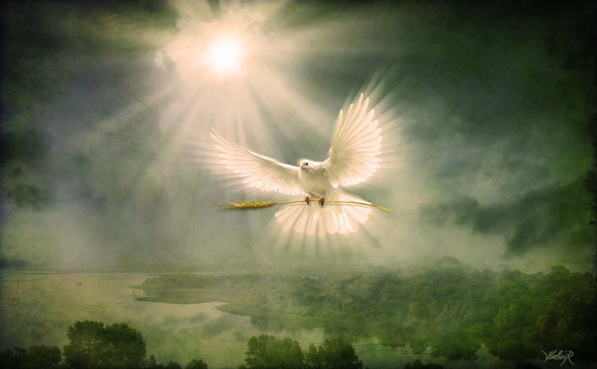 Надежда картинки