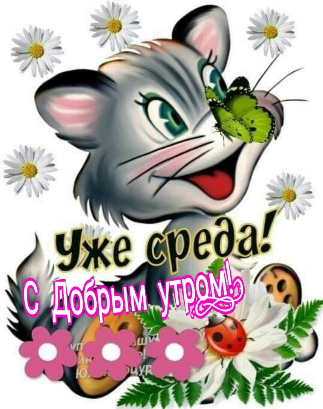 Пожелания хорошей среды