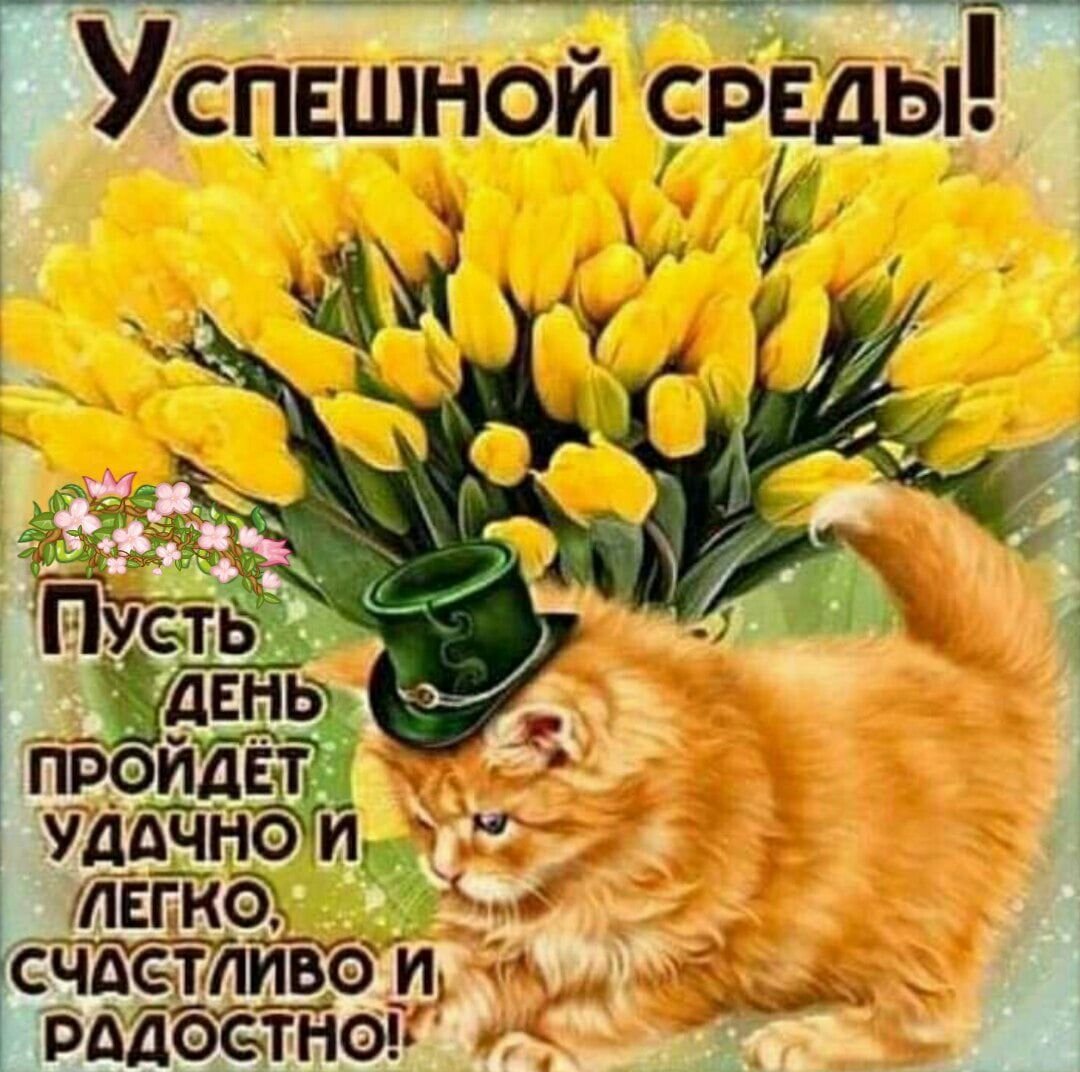 Хорошей среды и отличного настроения