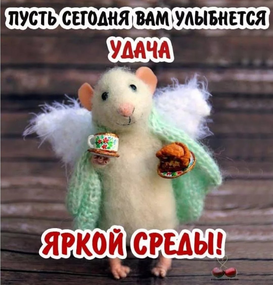 Приятной среды и хорошего настроения