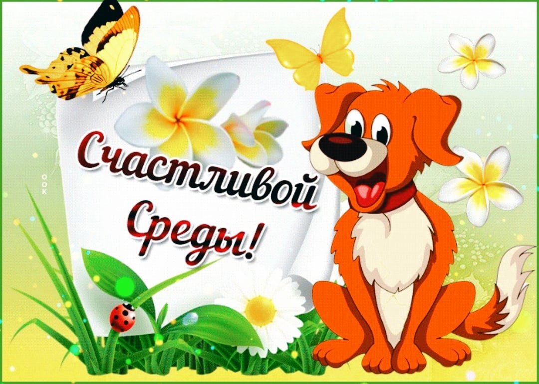 Доброе утро среда