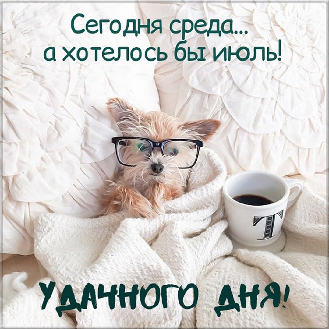 Открытки со средой позитивные