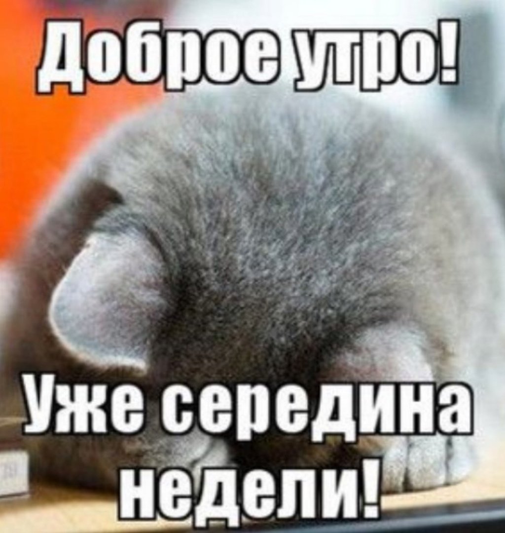 Пожелания хорошей среды