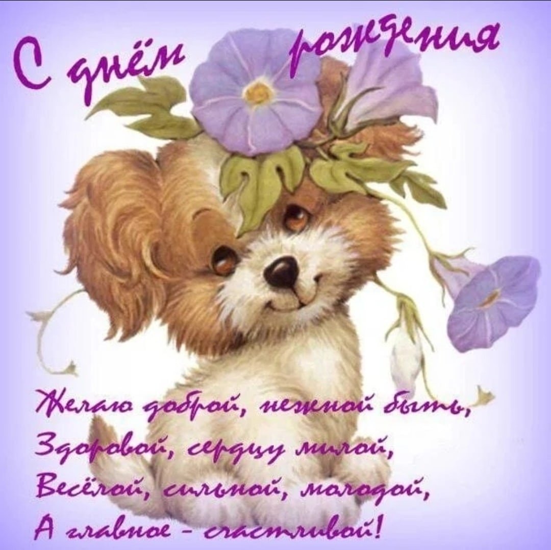 Поздравления с днём рождения Мирочка