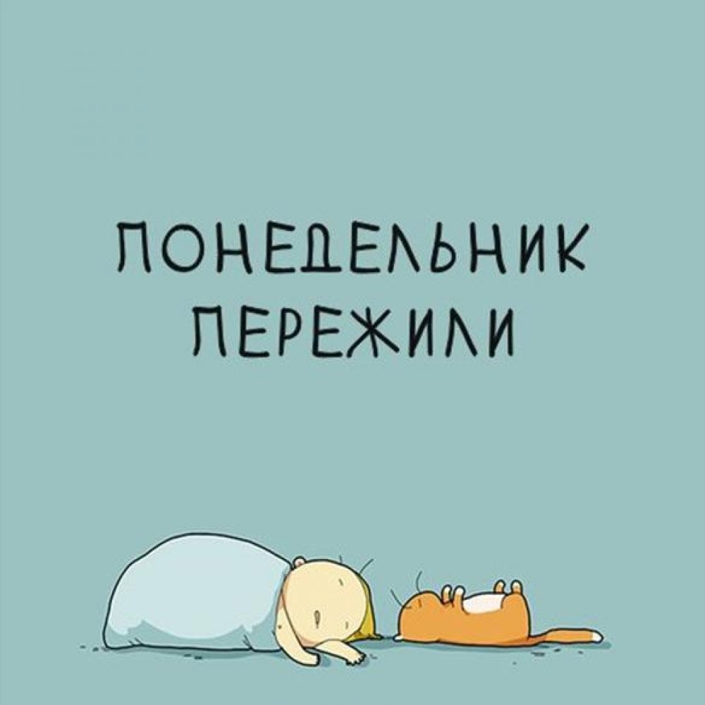 Вечер понедельника