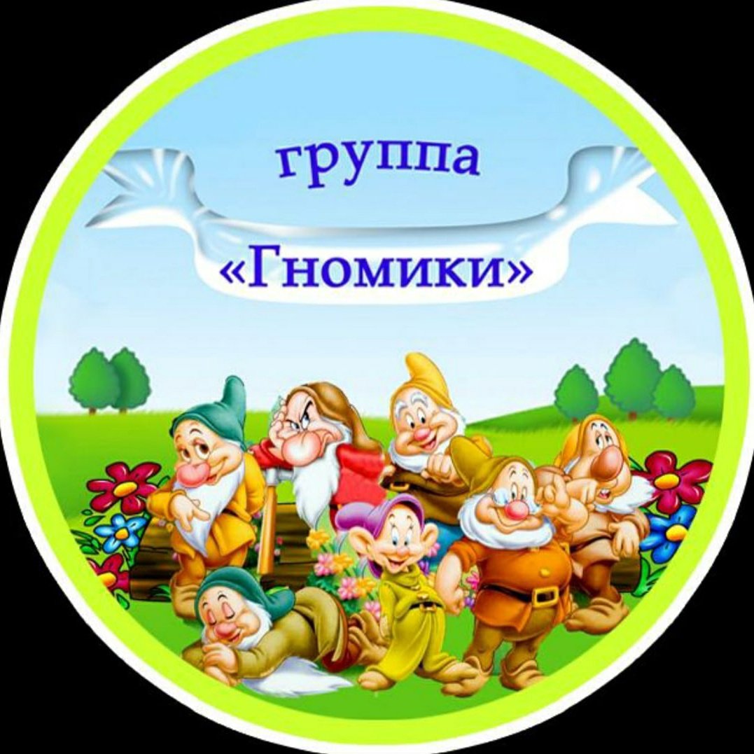 Группа гномики