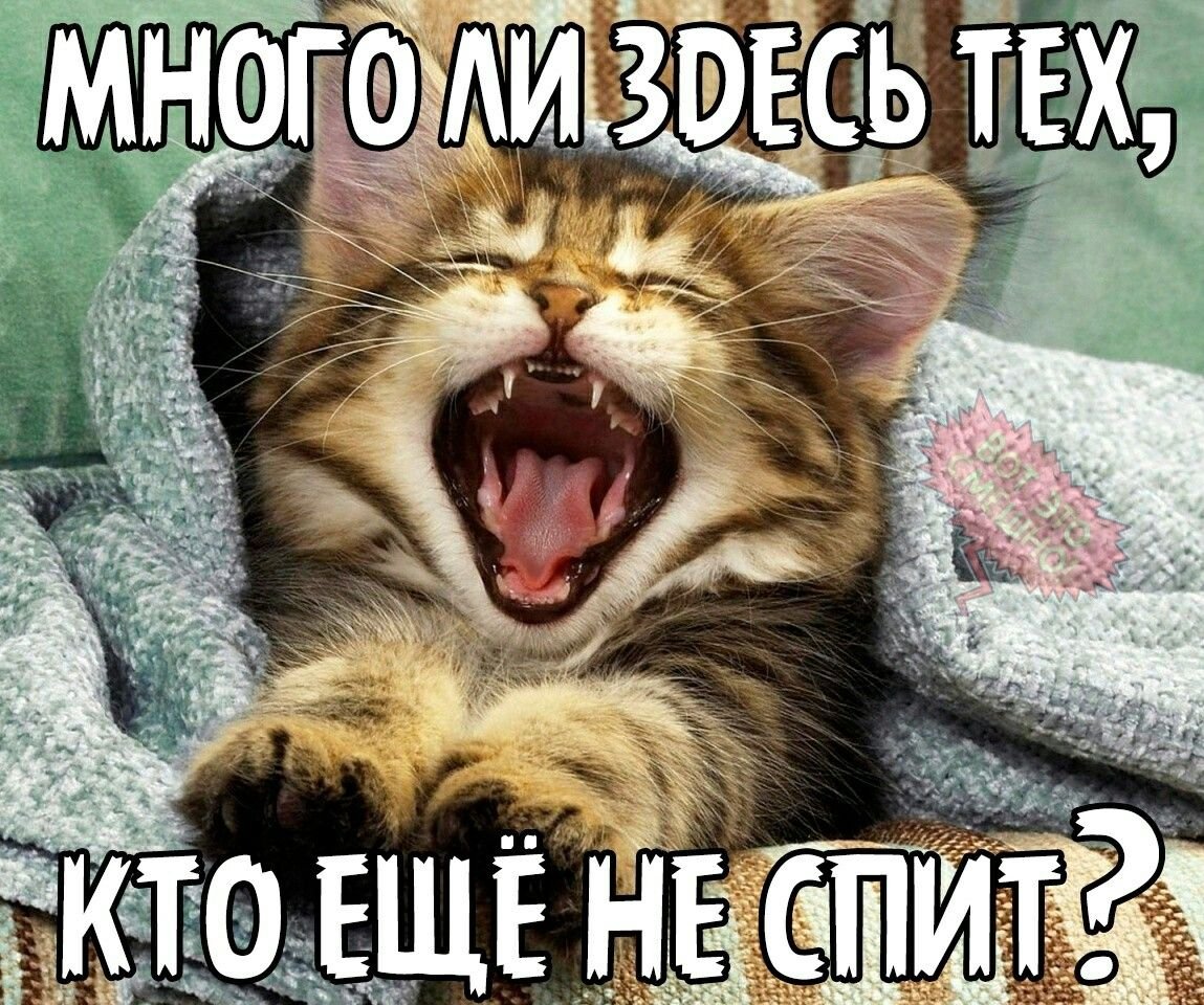 Открытка я еще не сплю