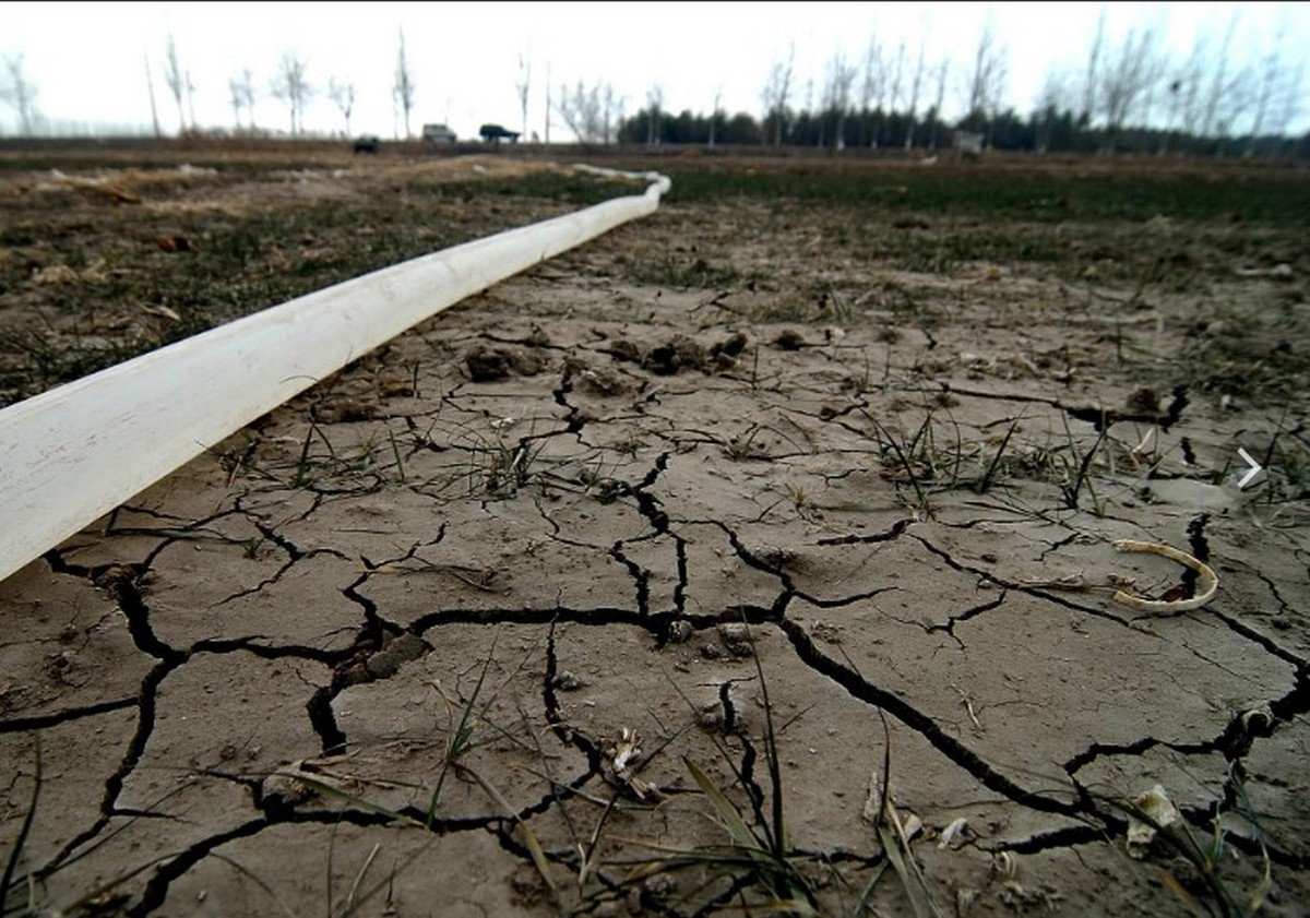 Загрязненные почвы