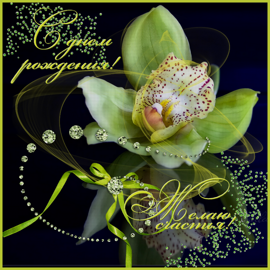 С днём рождения натвшв