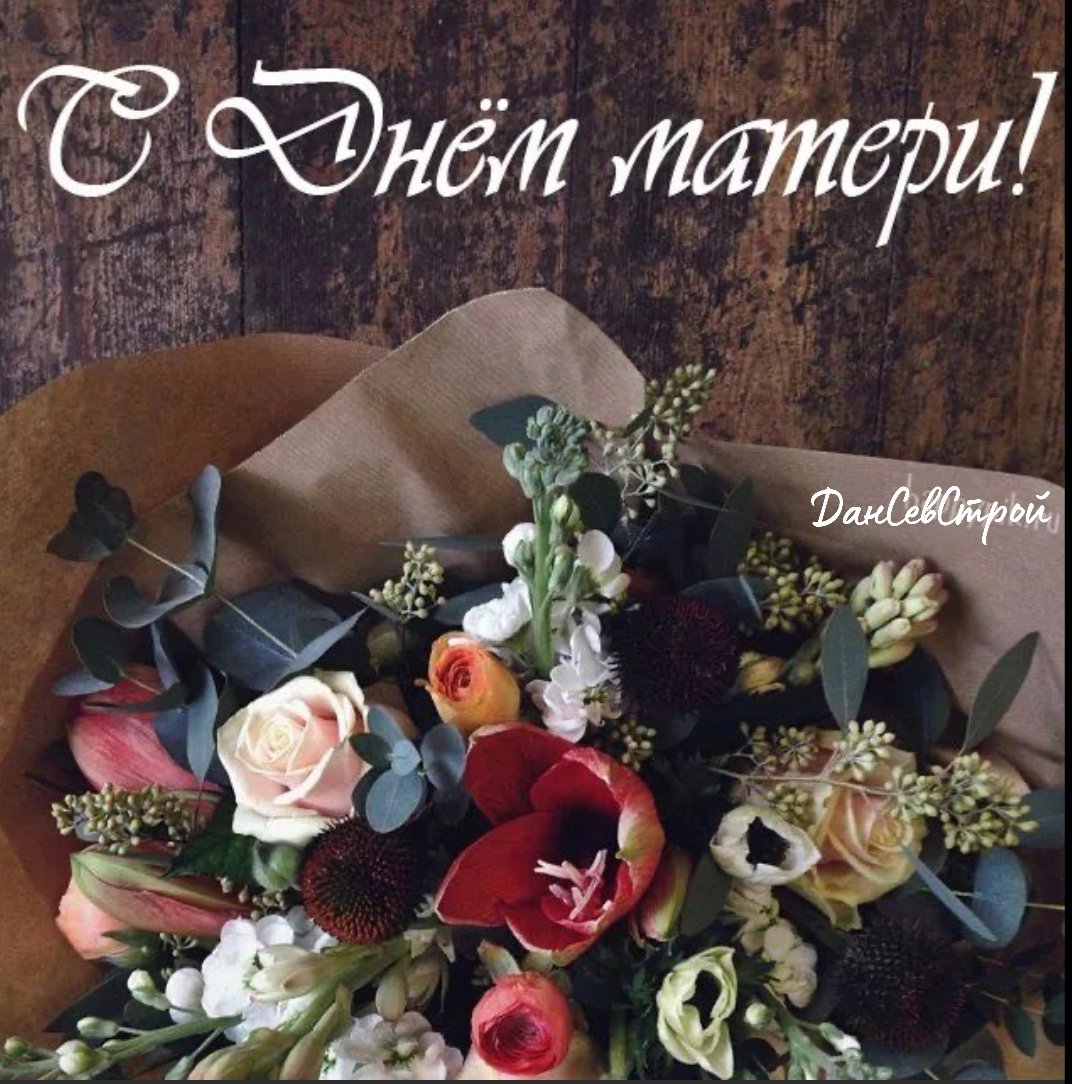 С днём рождения света открытки