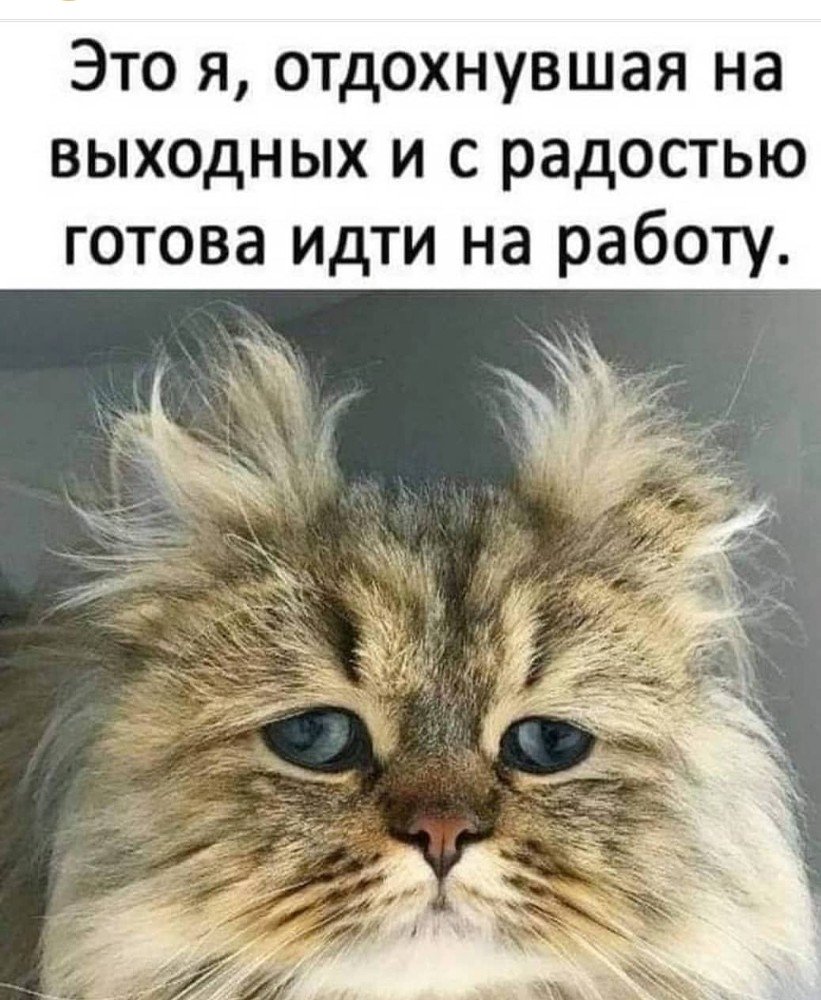 Открытки опять на работу
