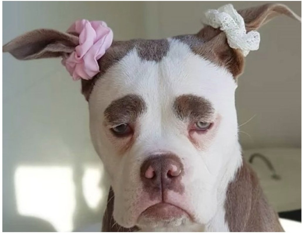 Открытки неохота на работу