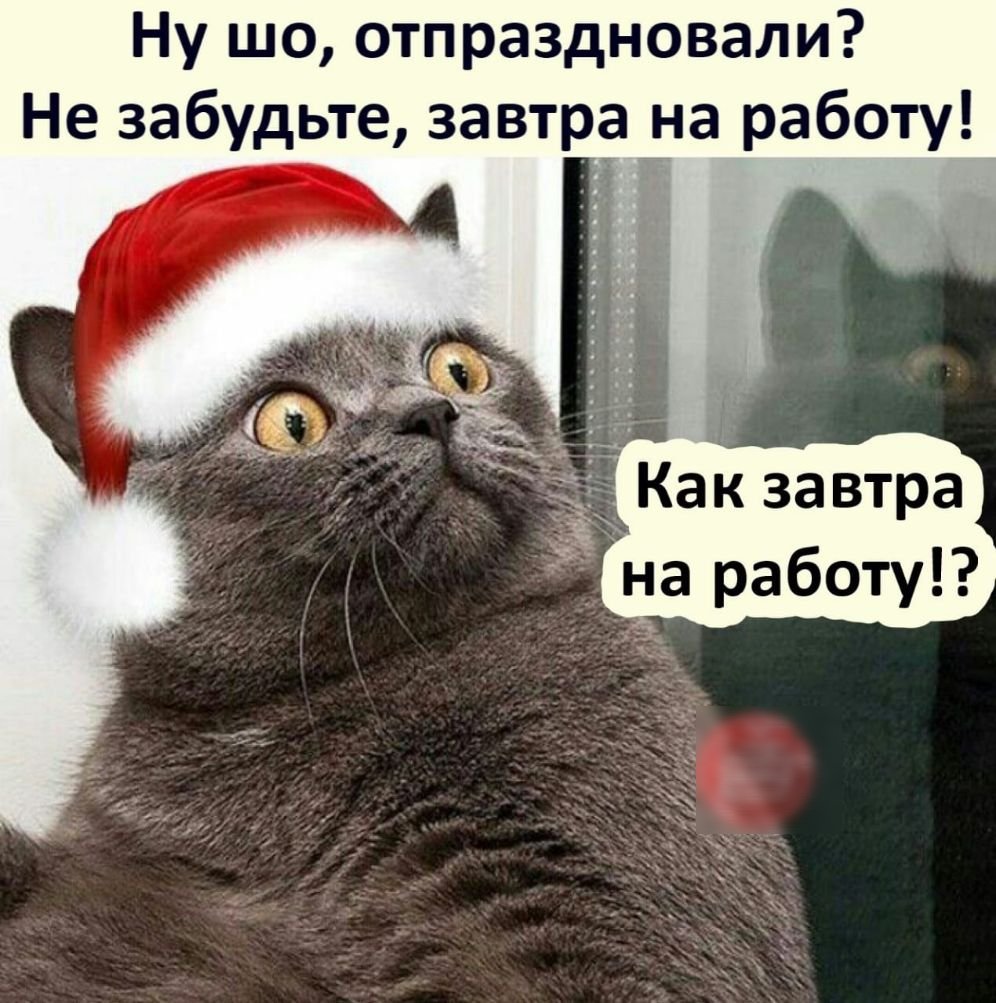 Некрасивых женщин не бывает бывают расстроенные и уставшие Богини